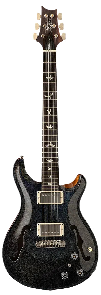 Đàn Guitar Điện PRS Core Hollowbody II Piezo 10-Top HH, Rosewood Fingerboard (2025) - Việt Music
