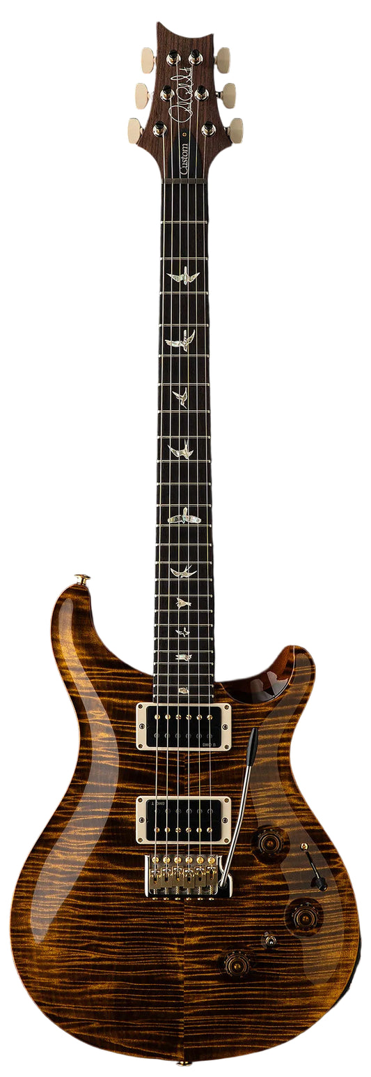 Đàn Guitar Điện PRS Custom 24 Piezo 10-Top, Rosewood Fingerboard (2025)