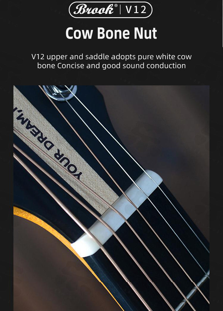 Đàn Guitar Acoustic Brook V12R DQM 41 Ink