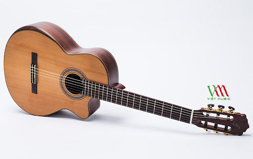 Top 5 Đàn Guitar Giá 5 Triệu Giành Cho Sân Khấu Nhỏ