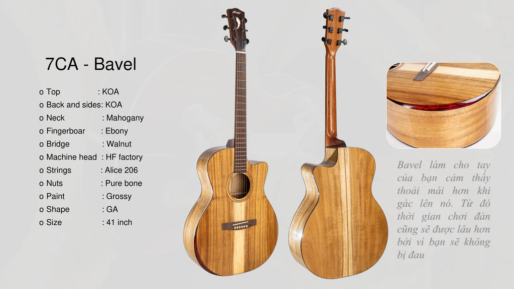 Đàn Guitar Acoustic Asolid 7CA Bavel