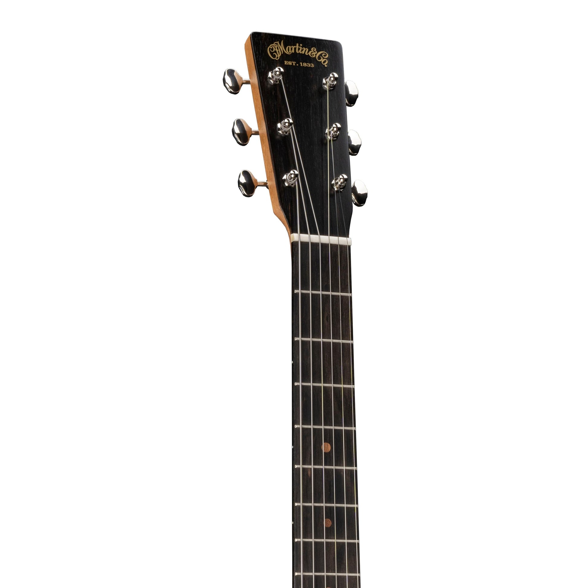 Đàn Guitar Acoustic Martin D Biosphere III - Custom & Special Editions Series - Việt Music