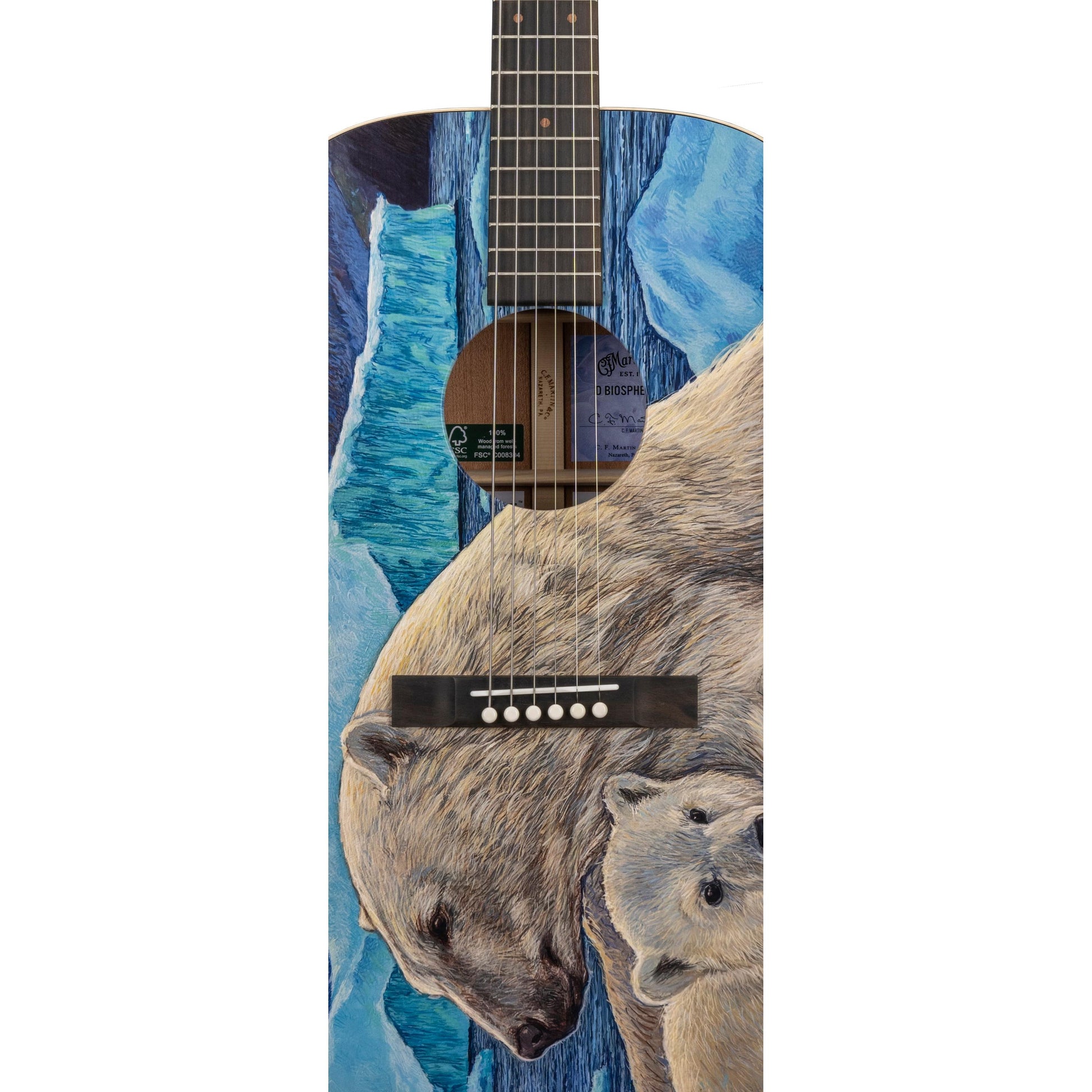Đàn Guitar Acoustic Martin D Biosphere III - Custom & Special Editions Series - Việt Music