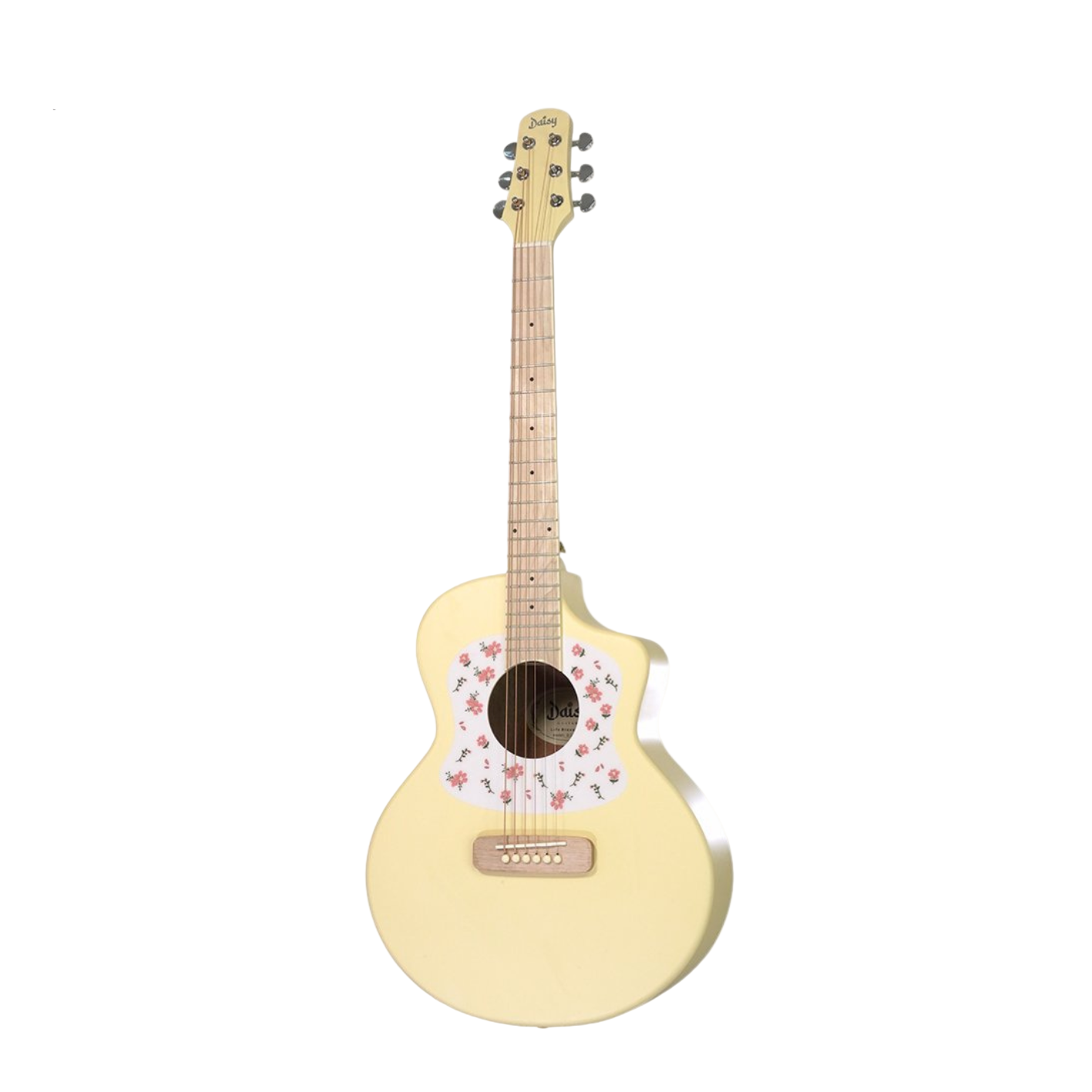 Đàn Guitar Acoustic Daisy D-100 - Việt Music