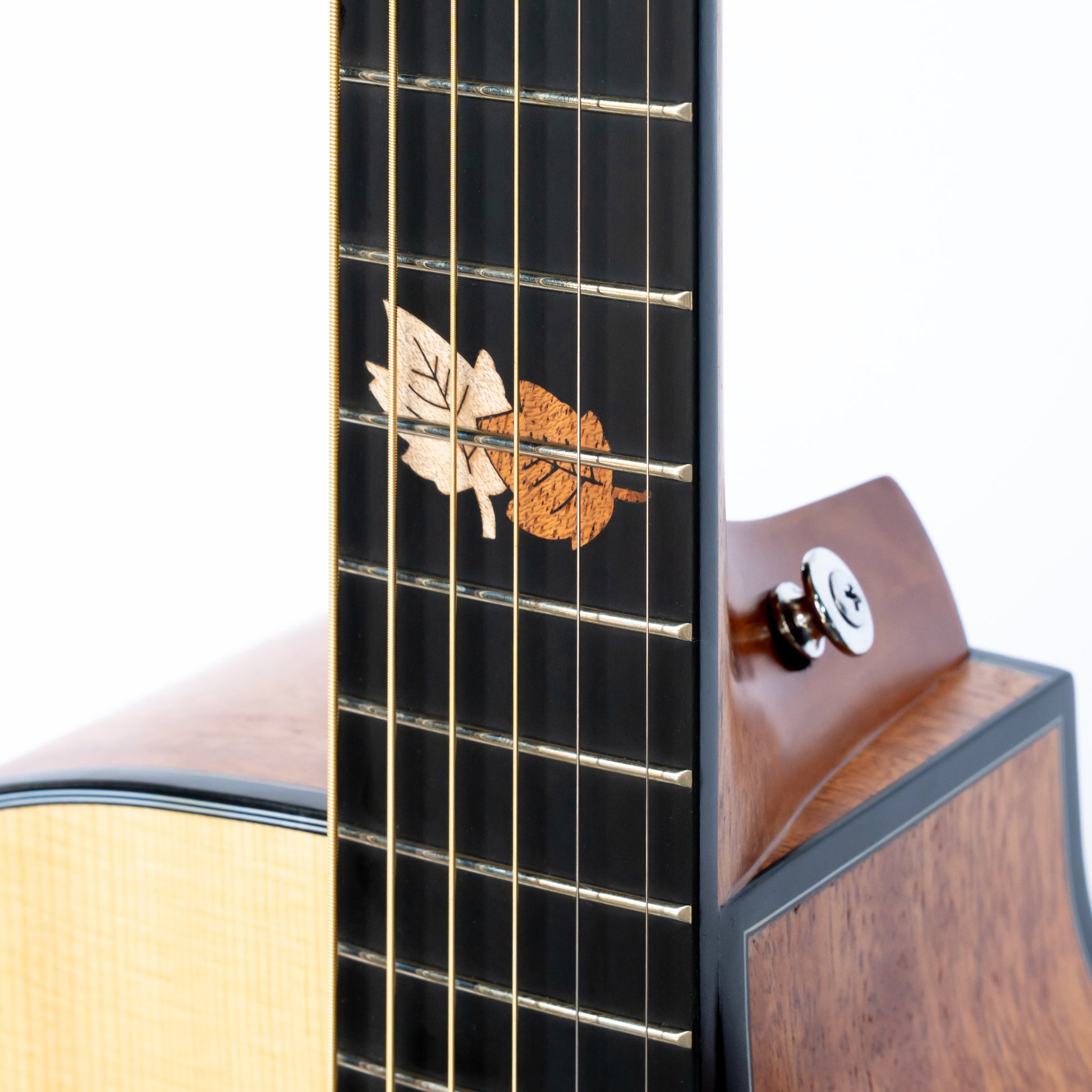 Đàn Guitar Acoustic Asolid 54GA - Việt Music