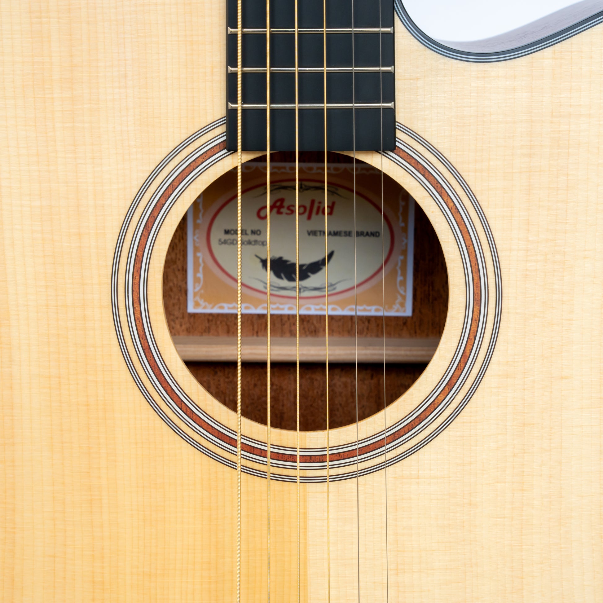 Đàn Guitar Acoustic Asolid 54CD - Việt Music