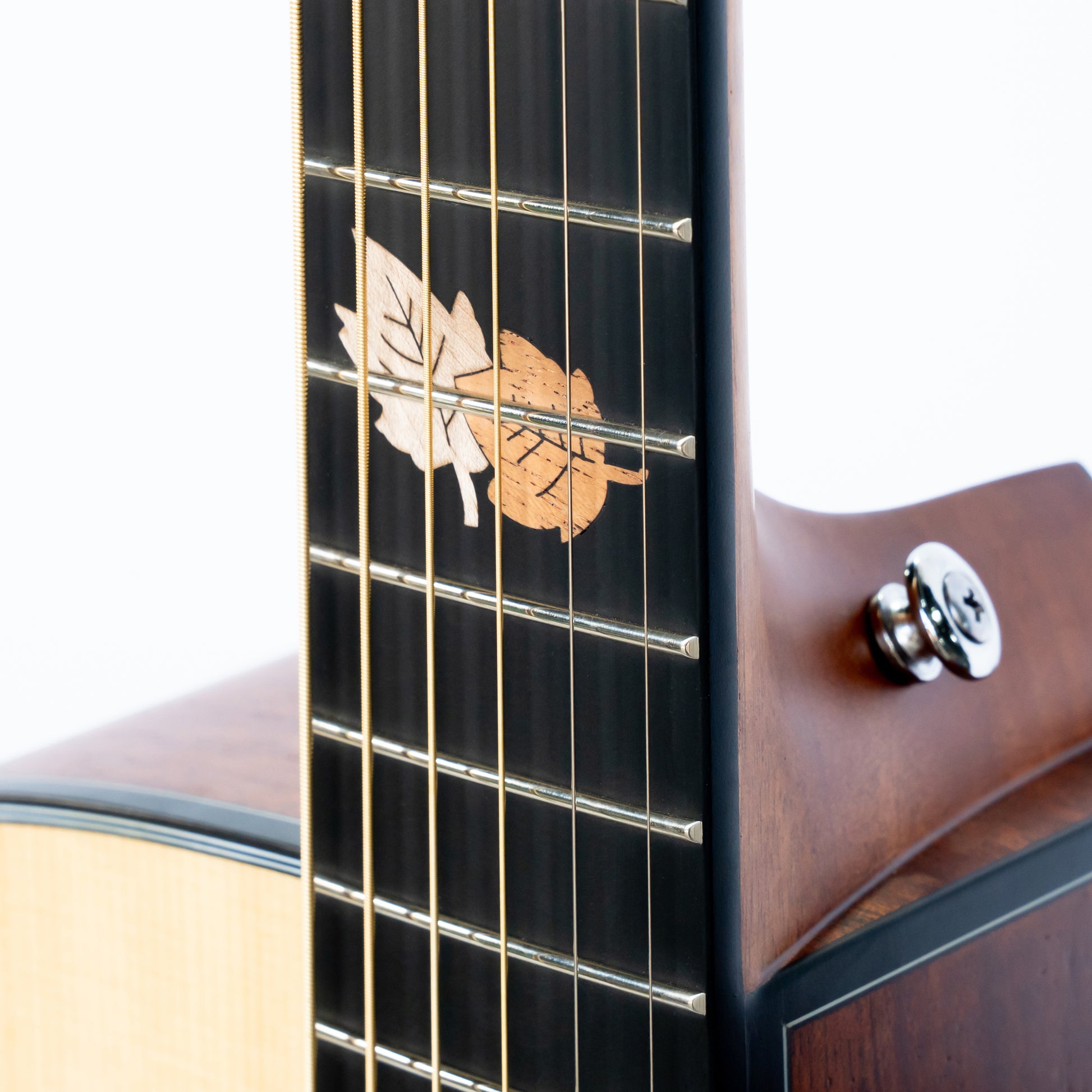Đàn Guitar Acoustic Asolid 54GD - Việt Music