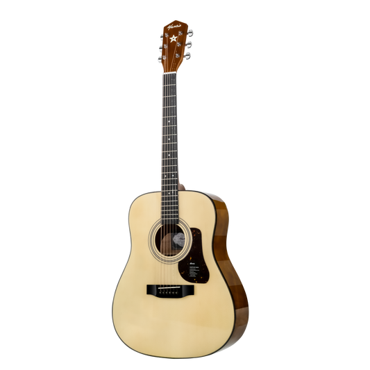 Đàn Guitar Acoustic Mantic GT310D
