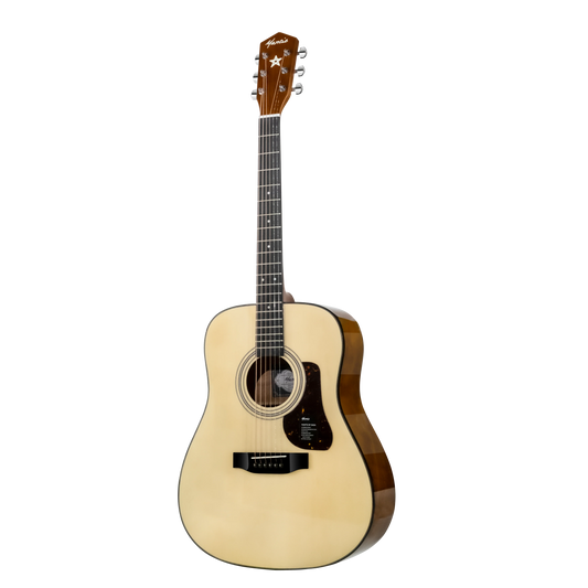 Đàn Guitar Acoustic Mantic GT310D