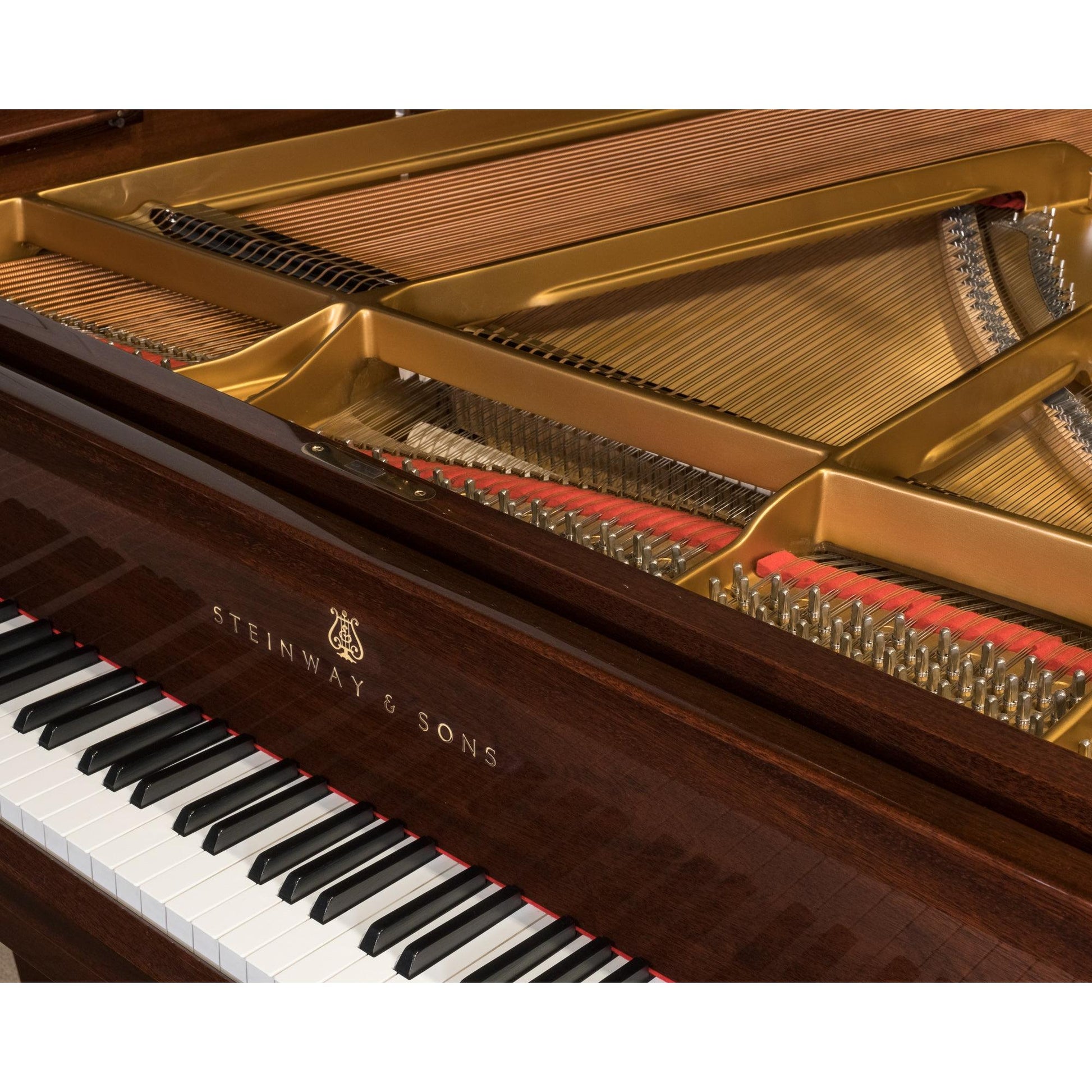 Grand Piano Steinway & Sons Model O 1997 - Qua Sử Dụng - Việt Music