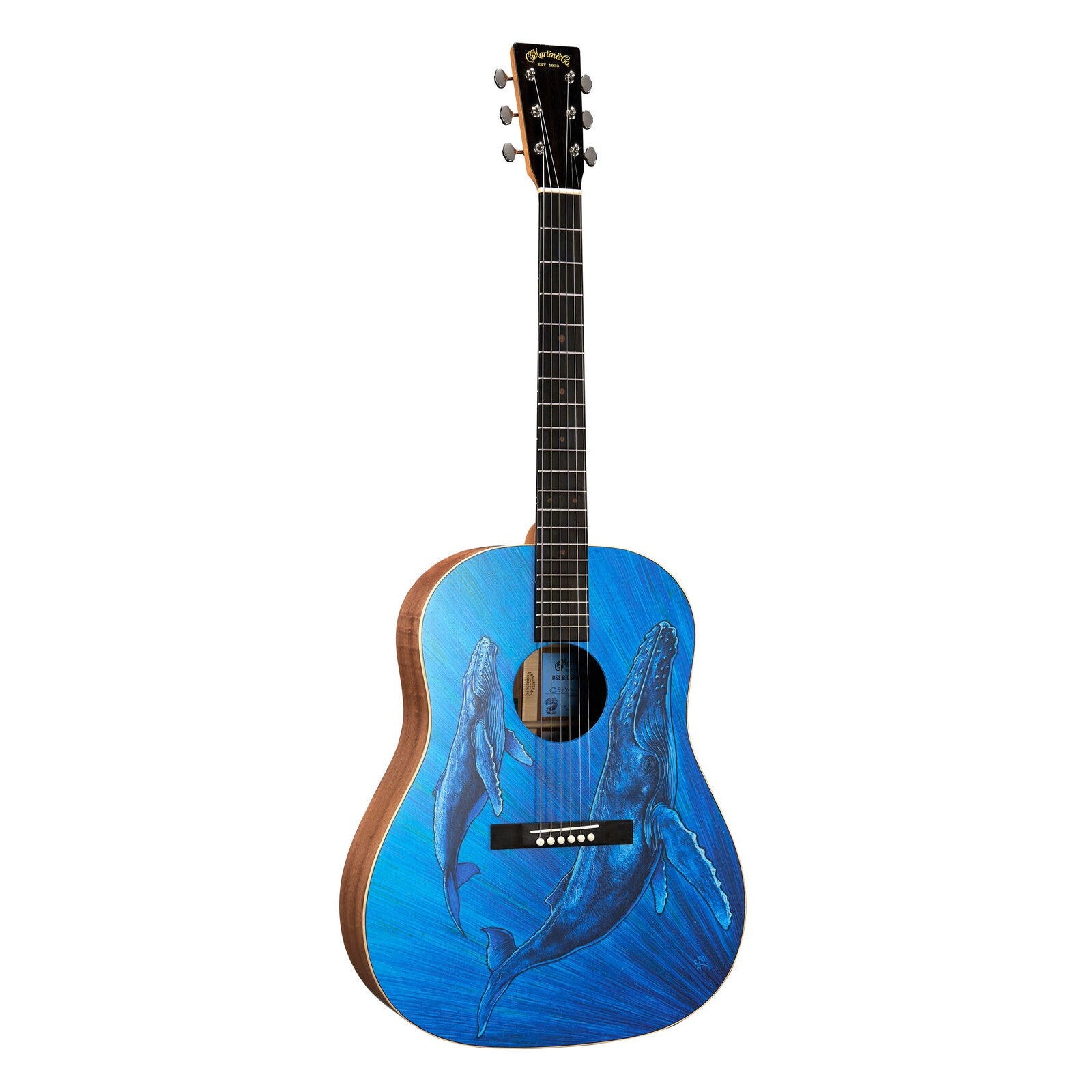 Đàn Guitar Acoustic Martin DSS Biosphere II - Custom & Special Editions Series - Việt Music