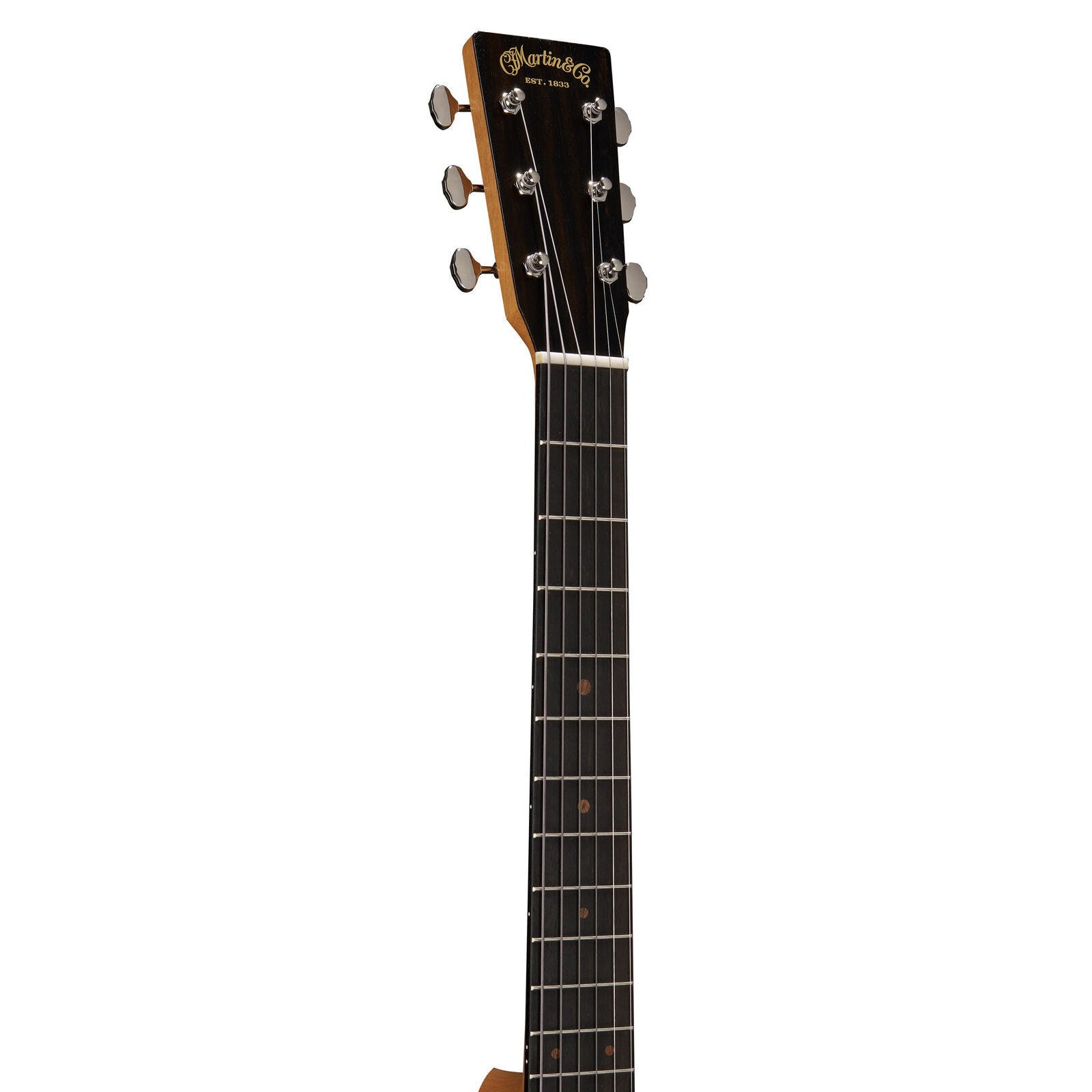 Đàn Guitar Acoustic Martin DSS Biosphere II - Custom & Special Editions Series - Việt Music