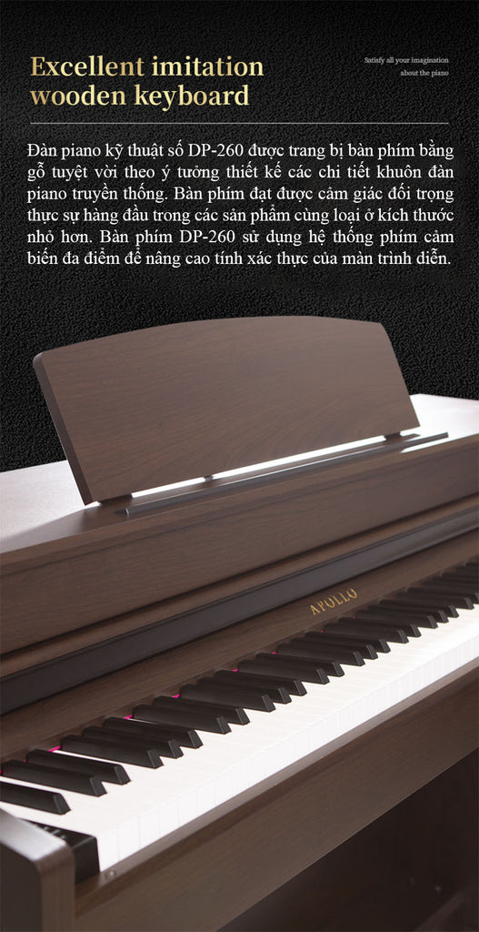 Đàn Piano Điện Apollo DP-260