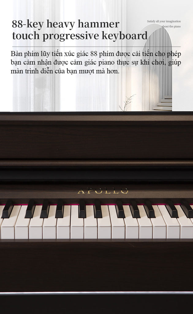 Đàn Piano Điện Apollo DP-260