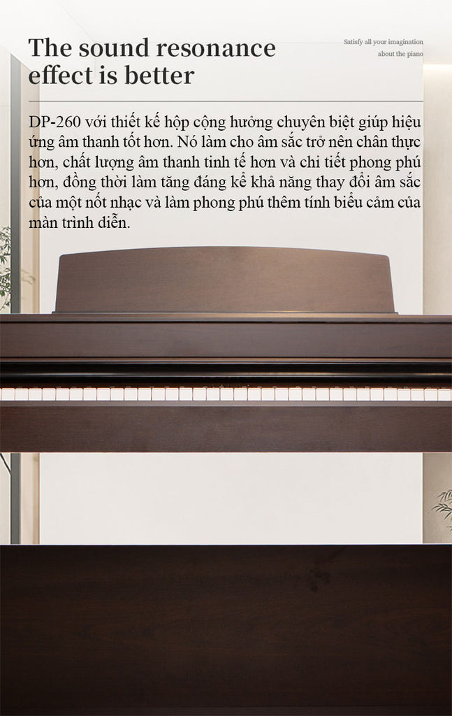 Đàn Piano Điện Apollo DP-260