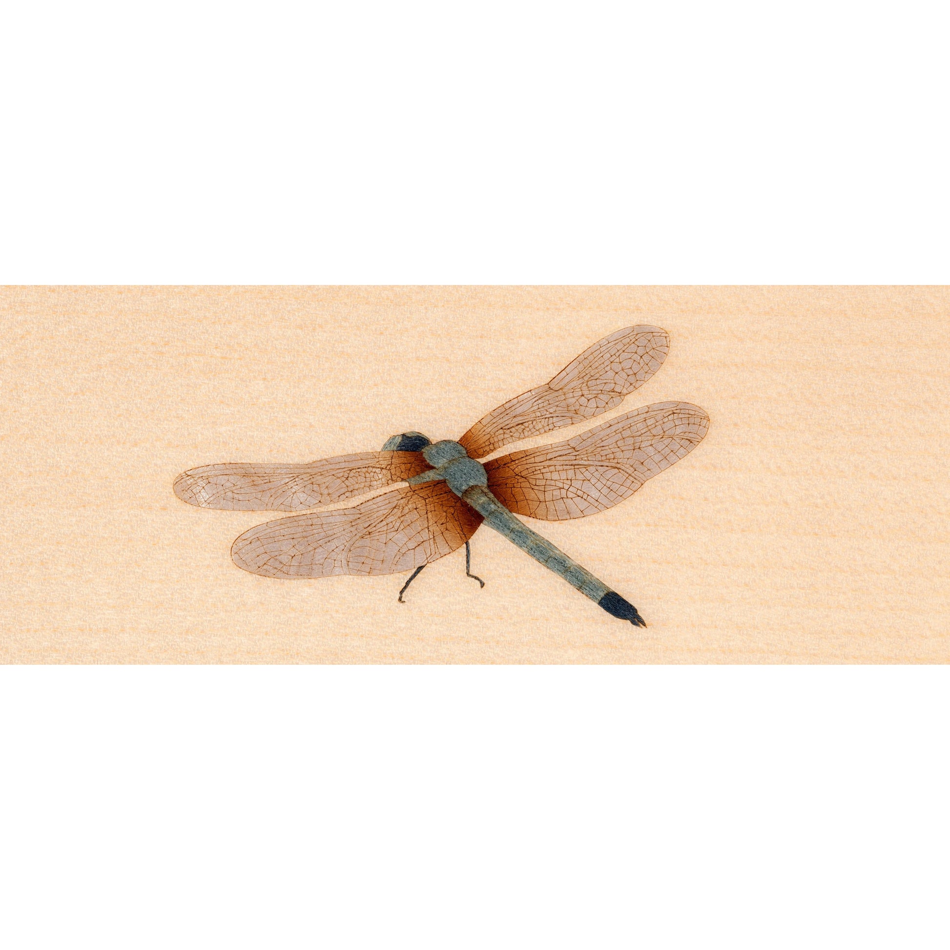 Grand Piano Bösendorfer Dragonfly - Việt Music