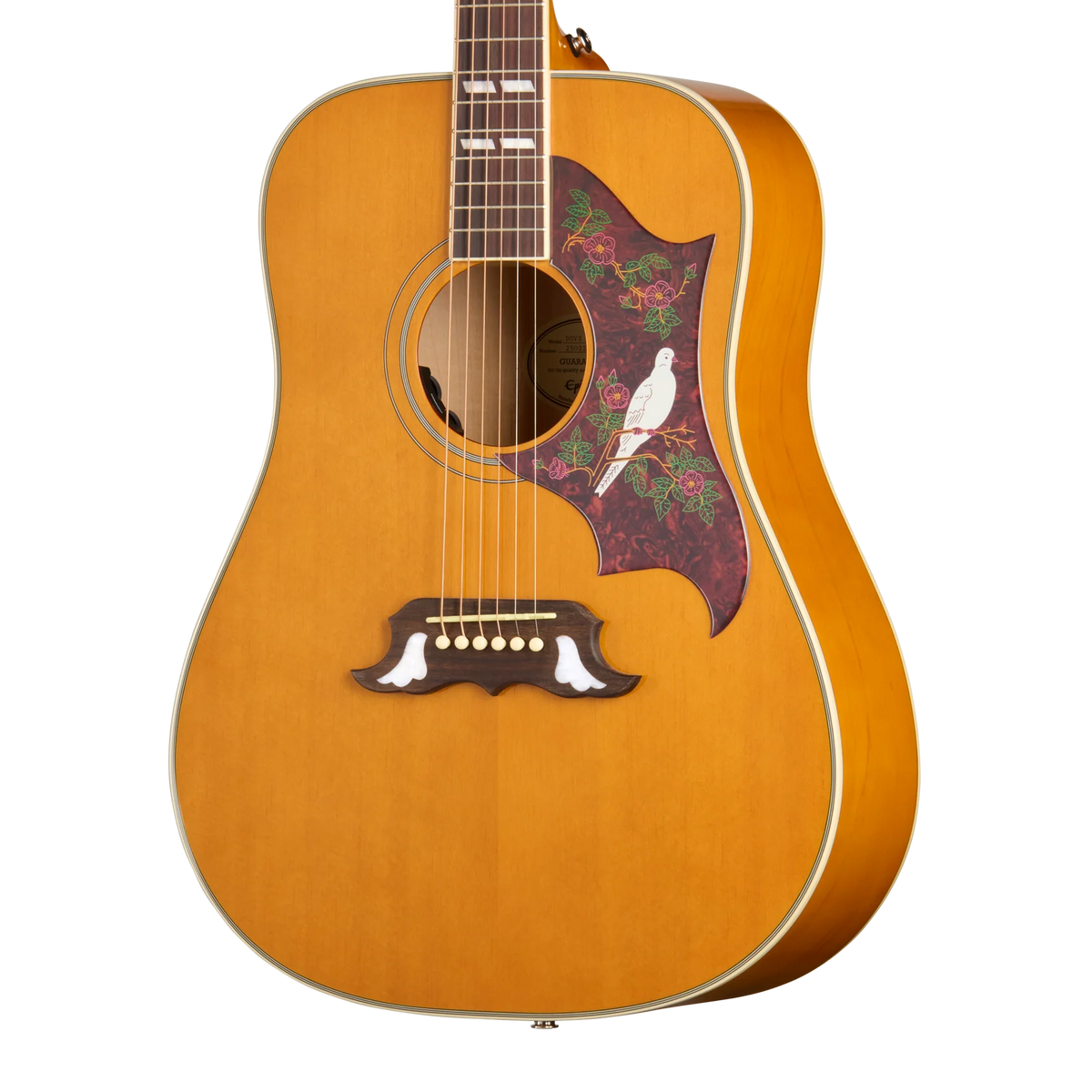 Đàn Guitar Acoustic Epiphone Dove Studio - Việt Music