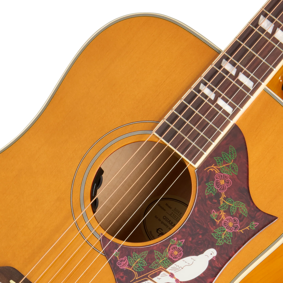 Đàn Guitar Acoustic Epiphone Dove Studio - Việt Music