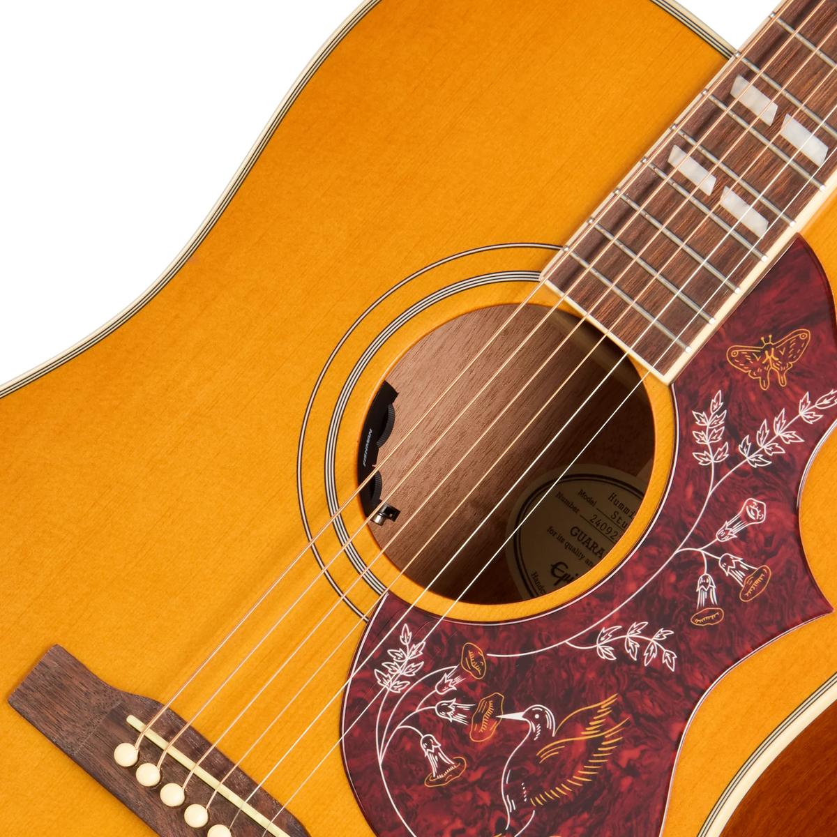 Đàn Guitar Acoustic Epiphone Hummingbird Studio - Việt Music