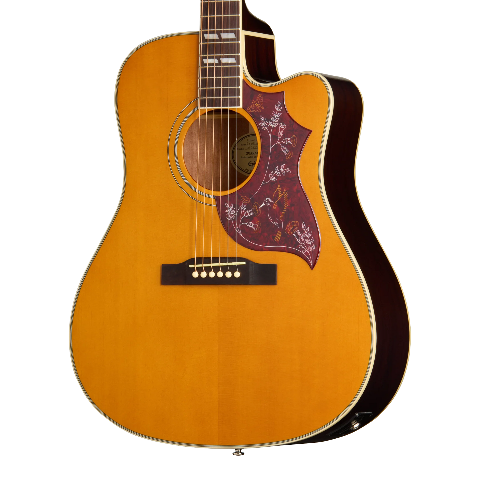 Đàn Guitar Accoustic Epiphone Hummingbird Studio EC - Việt Music