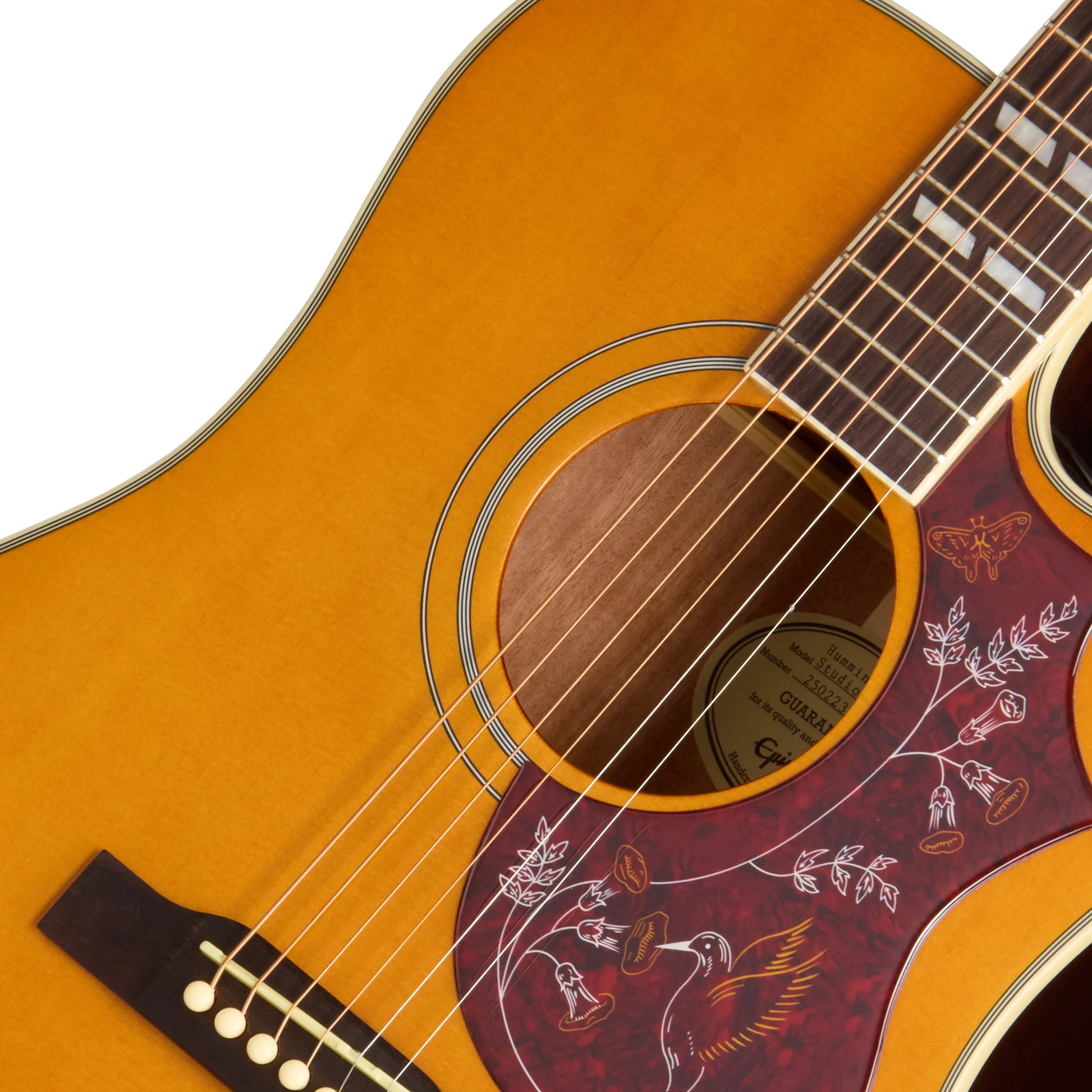 Đàn Guitar Accoustic Epiphone Hummingbird Studio EC - Việt Music