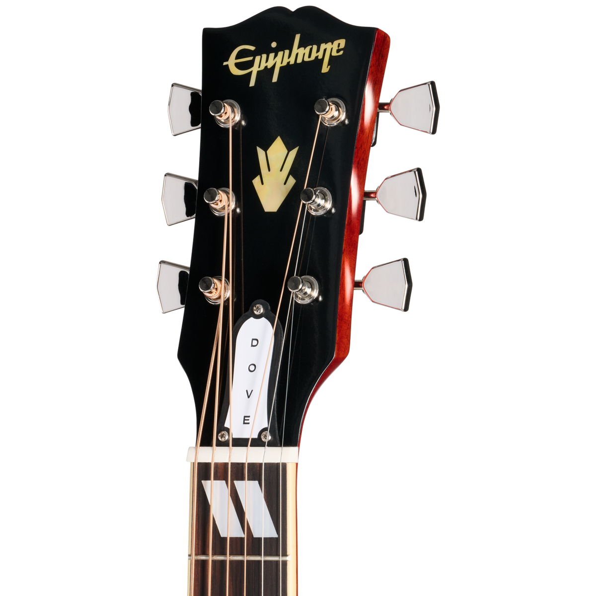 Đàn Guitar Acoustic Epiphone IGC 1963 Dove Reissue - Việt Music