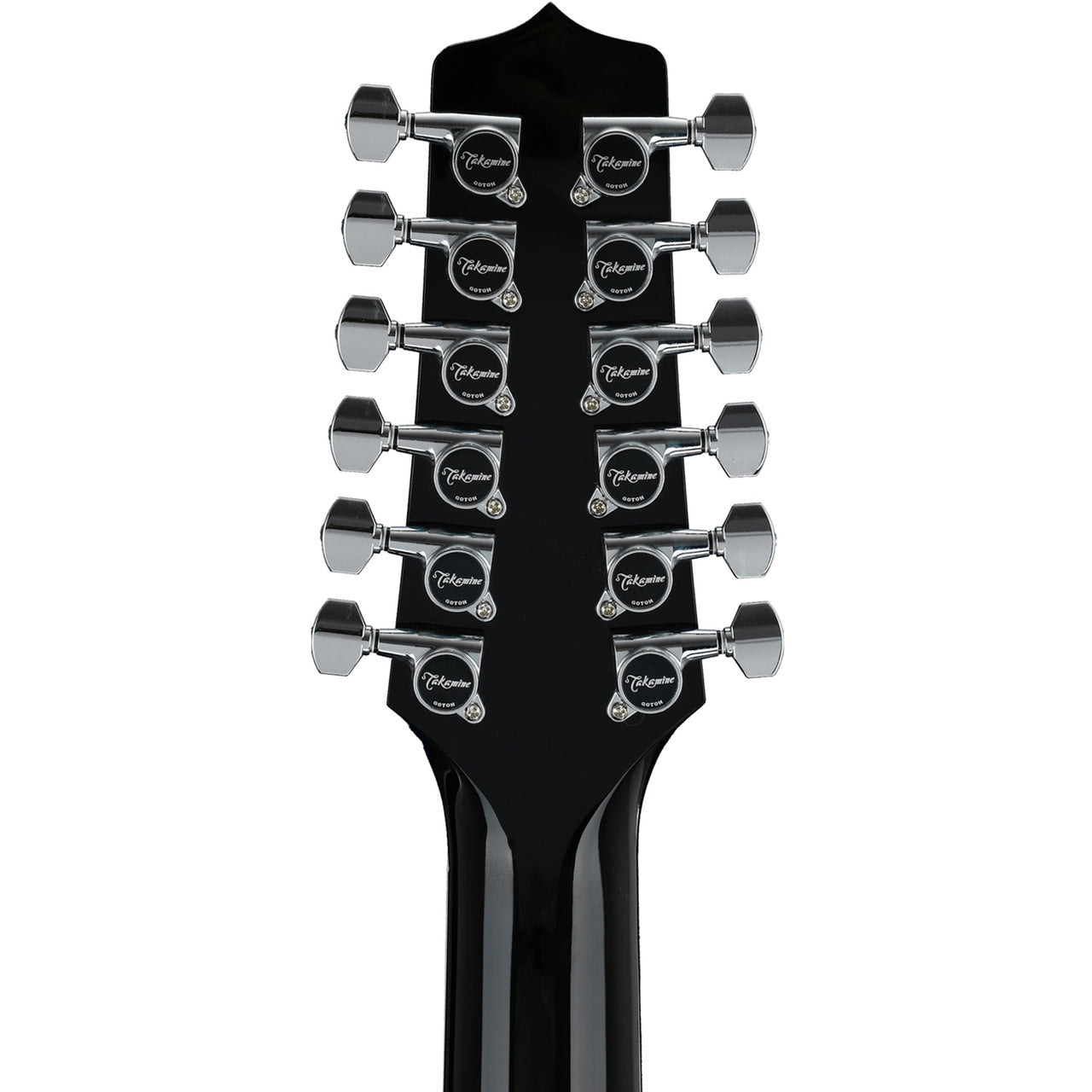 Đàn Guitar Acoustic Takamine EF381SC - 12 Strings - Việt Music