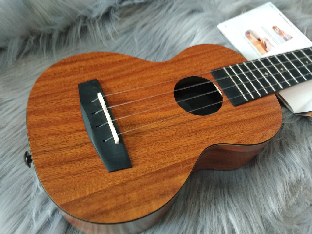 Top 5 Mẫu Đàn Ukulele Chất Lượng Cho Người Mới Học