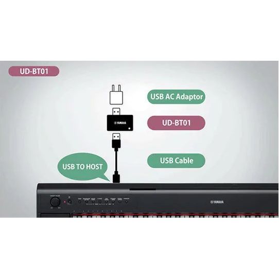 Bộ Điều Hợp Bluetooth Yamaha UD-BT01 - Việt Music