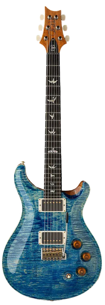 Đàn Guitar Điện PRS Core PRS DGT 10-Top HH, Rosewood Fingerboard (2025) - Việt Music