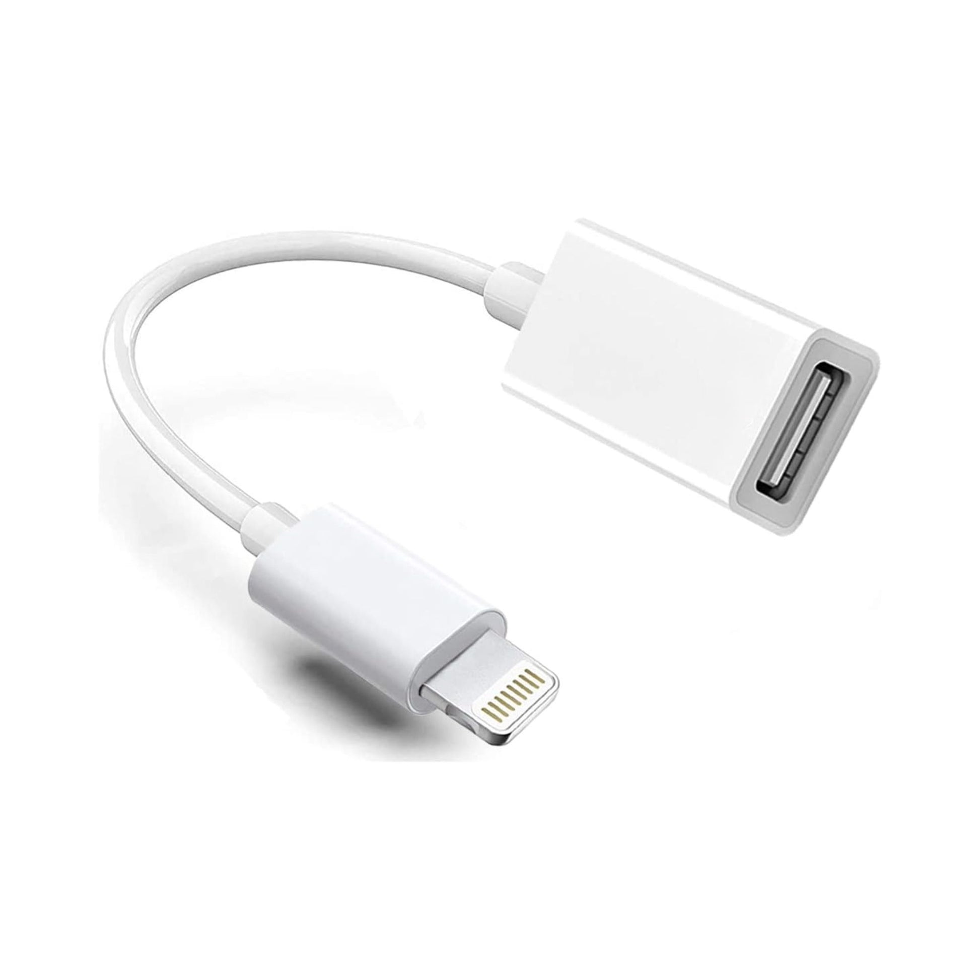 Đầu Chuyển Đổi Jack OTG Apple Lightning to USB Jack Adapter - Việt Music