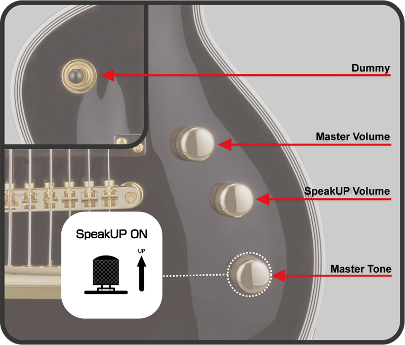 Đàn Guitar Điện GrassRoots G-EC-MINI CTM HH, Pau Ferro Fingerboard