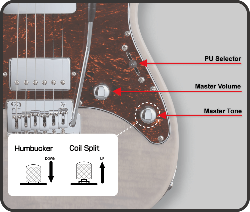 Đàn Guitar Điện GrassRoots G-SNAPPER CTM-P HS, Rosewood Fingerboard