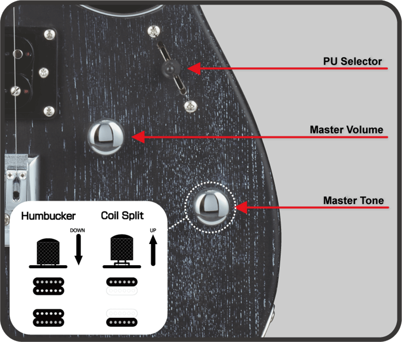 Đàn Guitar Điện GrassRoots G-THROBBER DX HH, Rosewood Fingerboard