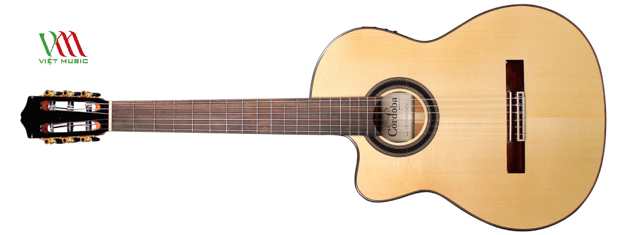 Các Mẫu Đàn Guitar Cho Người Chơi Tay Trái Chất Lượng Cao
