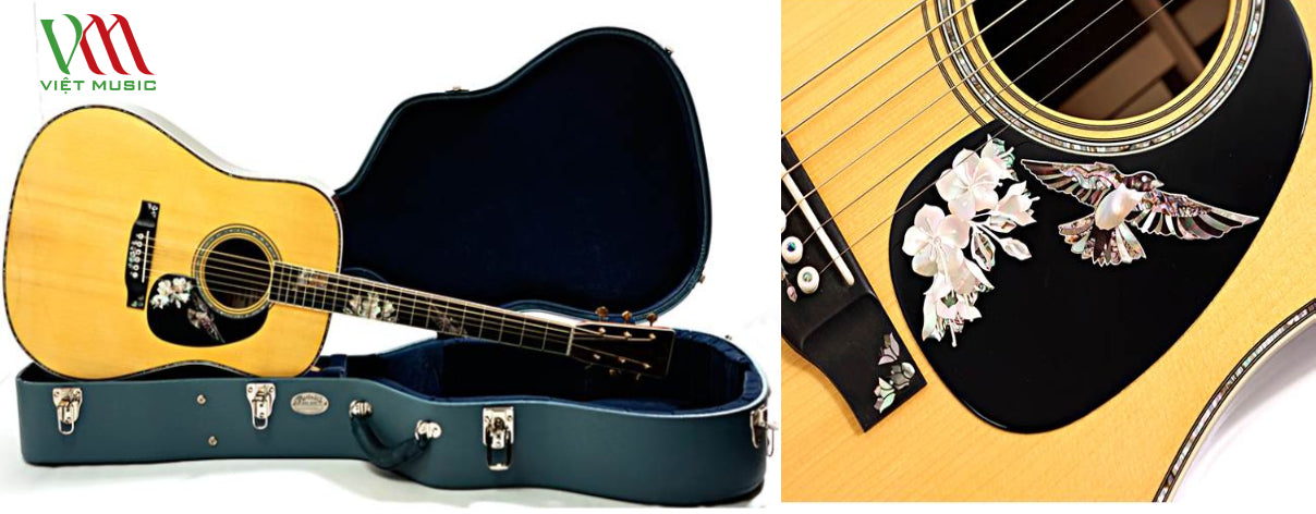 Bộ Sưu Tập Những Cây Đàn Guitar Quý Hiếm Đã Qua Sử Dụng