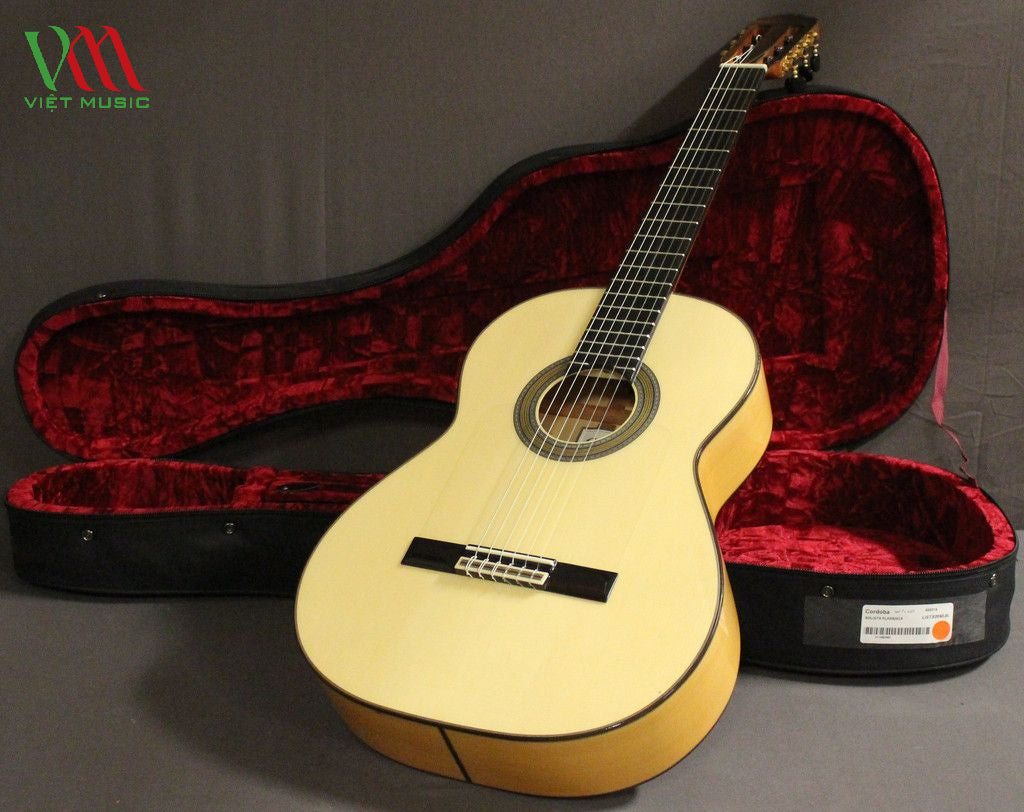 Những Cây Đàn Guitar Dành Cho Nghệ Sỹ Chuyên Nghiệp
