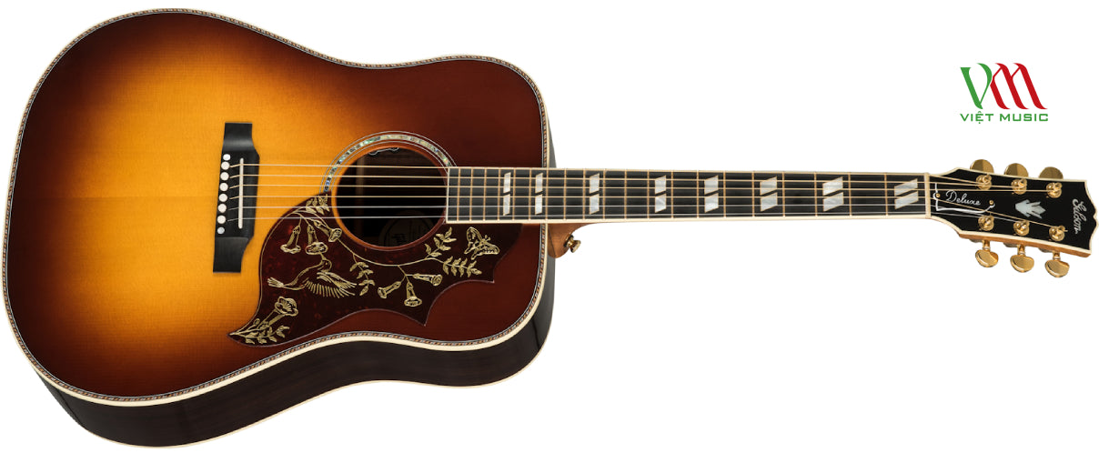Các Dáng Đàn Guitar Phổ Biến