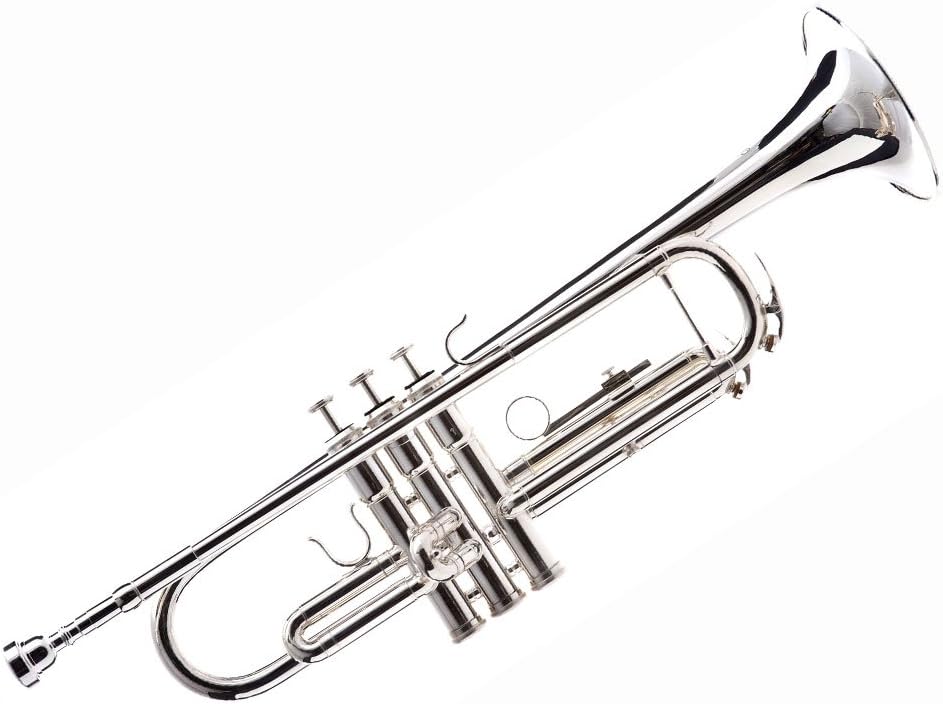 Hawk WD-T313 Bb Trumpet with Case and Mouthpiece, Silver Plated