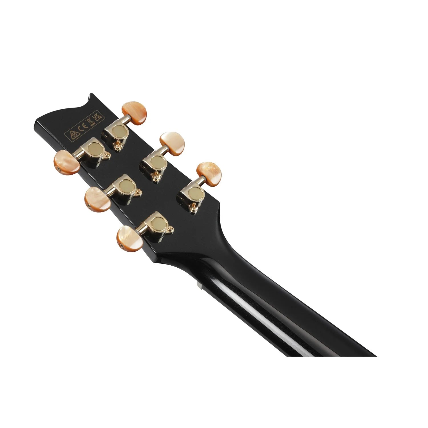 Đàn Guitar Acoustic Ibanez EP5 - Việt Music