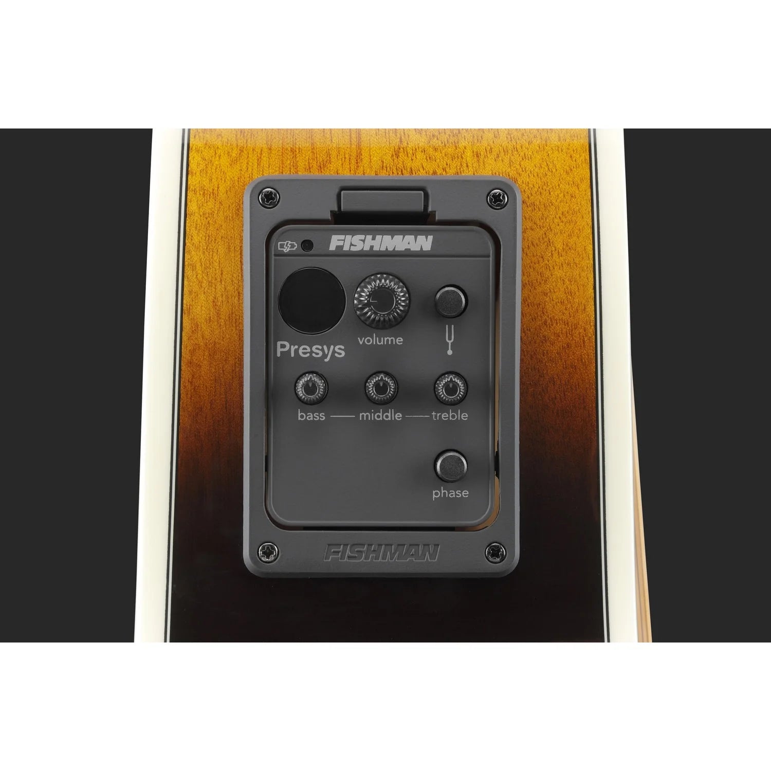 Đàn Guitar Acoustic Ibanez JSA5 - Việt Music