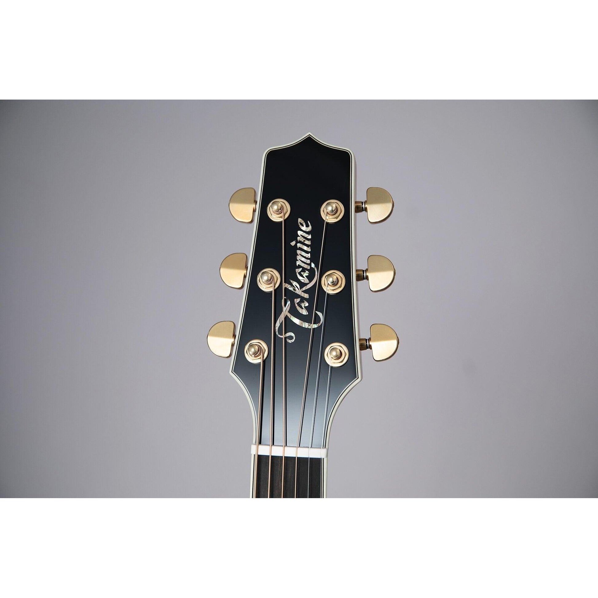 Đàn Guitar Acoustic Takamine LTD 2022 - Việt Music
