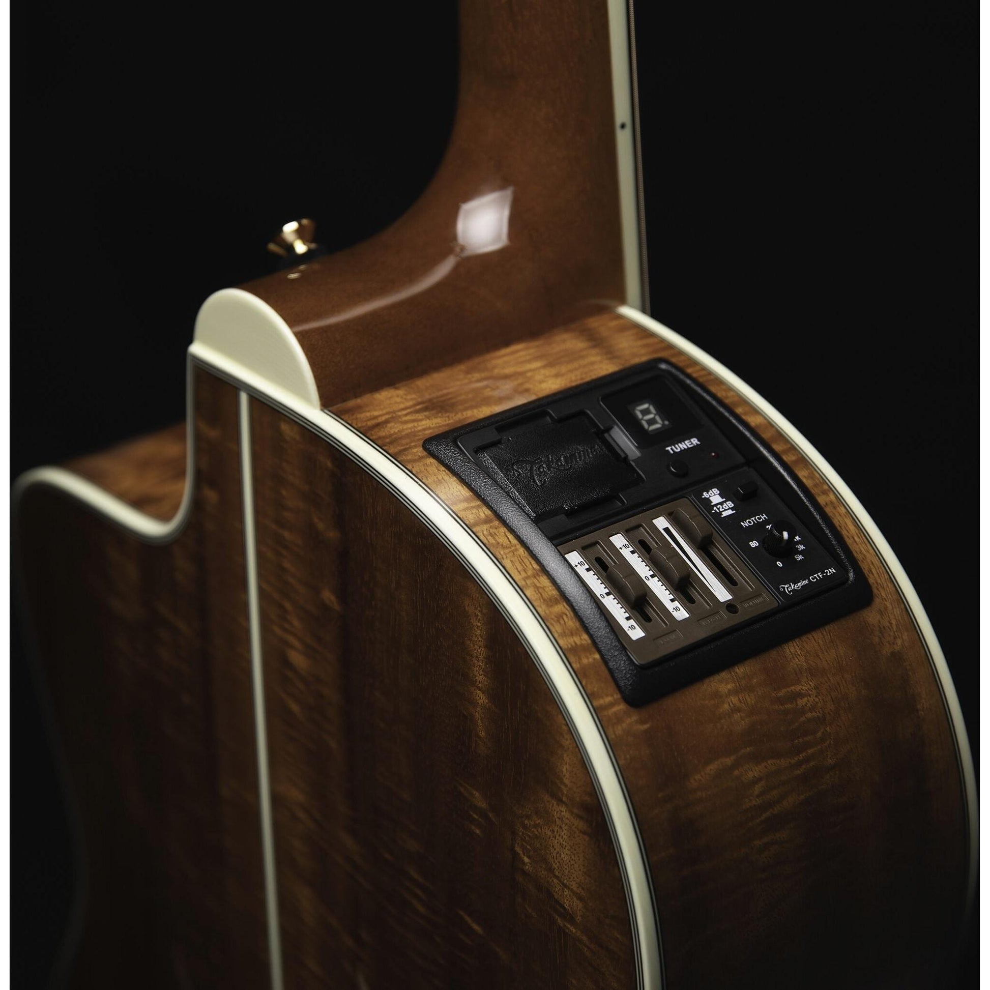 Đàn Guitar Acoustic Takamine LTD 2022 - Việt Music