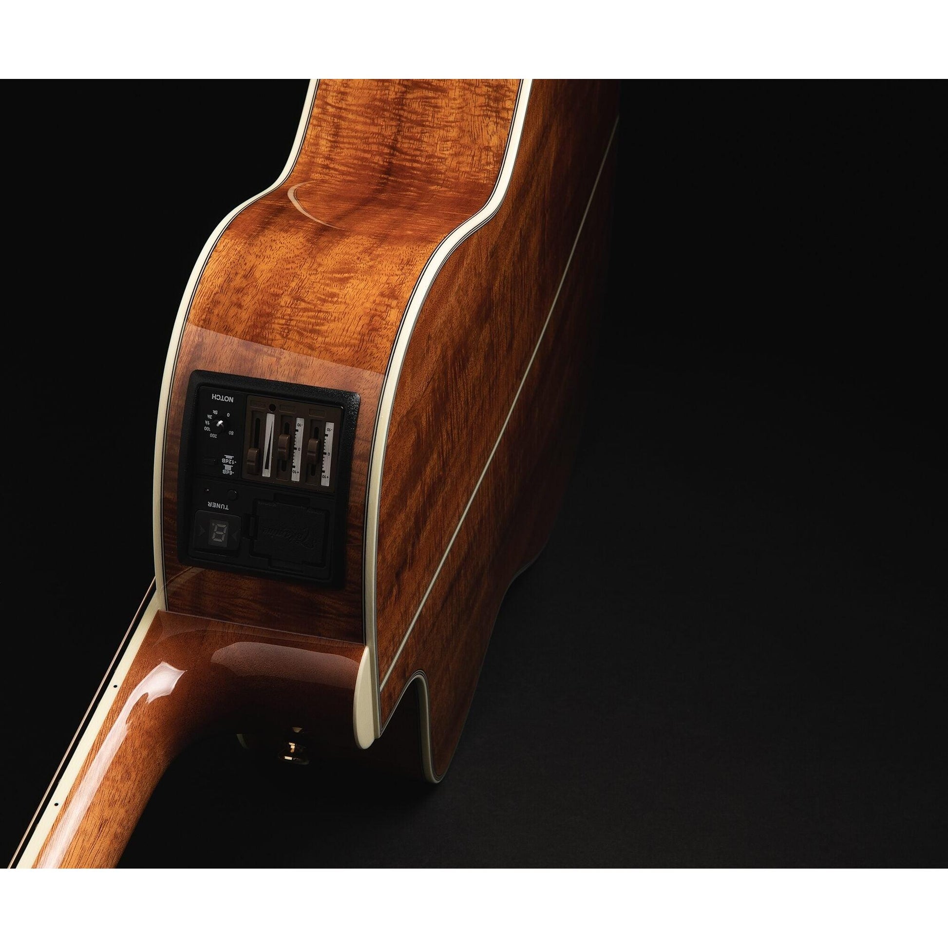 Đàn Guitar Acoustic Takamine LTD 2022 - Việt Music