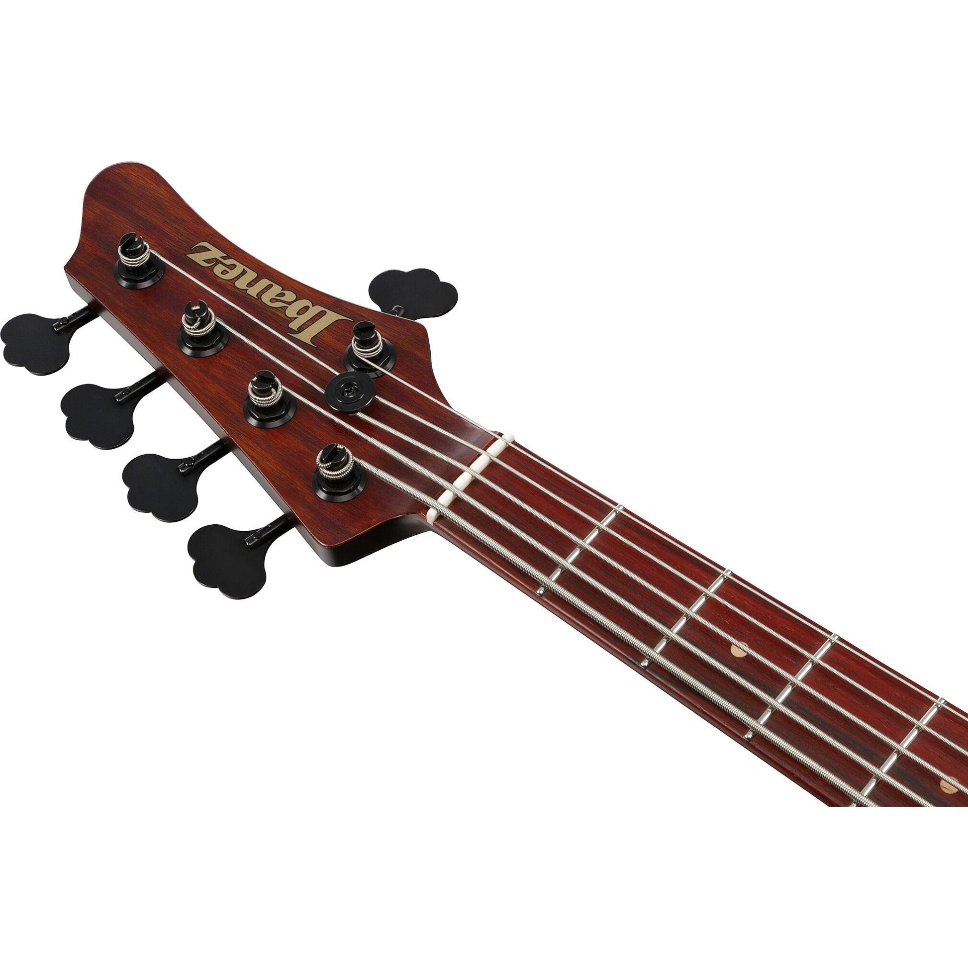 Đàn Guitar Bass Ibanez IV2MDM SS, Cocobolo Fingerboard - 5 Strings - Việt Music