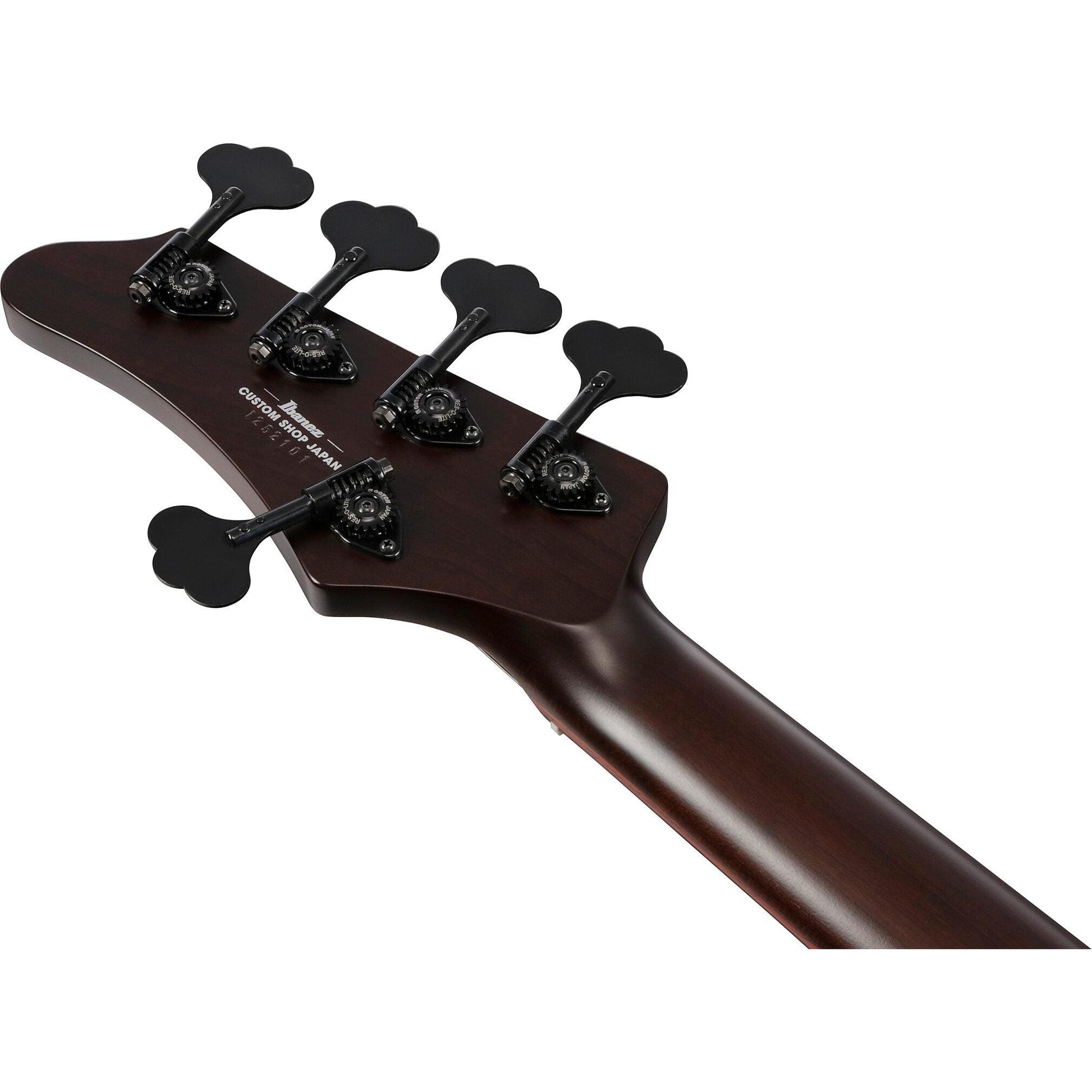 Đàn Guitar Bass Ibanez IV2MDM SS, Cocobolo Fingerboard - 5 Strings - Việt Music