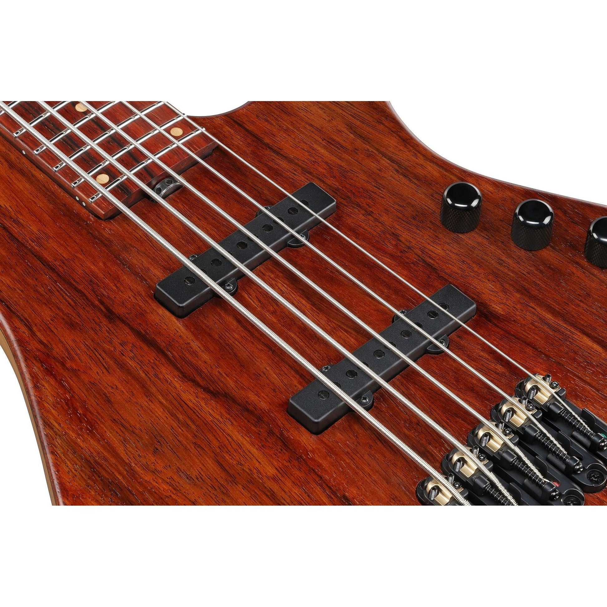 Đàn Guitar Bass Ibanez IV2MDM SS, Cocobolo Fingerboard - 5 Strings - Việt Music