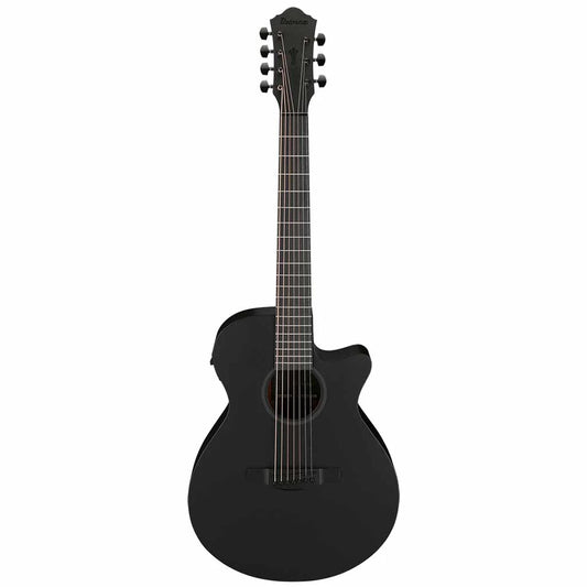 Đàn Guitar Acoustic Ibanez AEG721 - 7 Strings