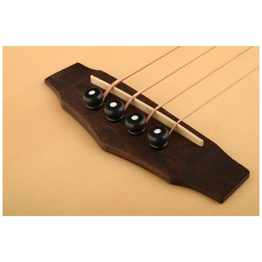 Đàn Guitar Bass Acoustic Ibanez PCBE12 - 4 Strings - Việt Music