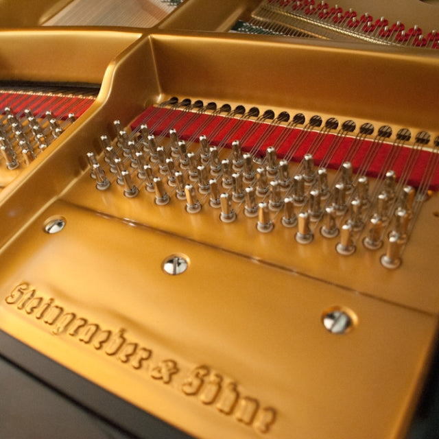 Grand Piano Steingraeber & Söhne D-232 - Semi Concert Grand - Việt Music